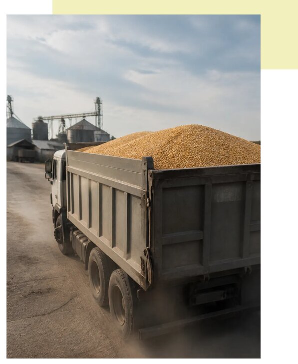 Перевозка сельхозпродукции навалом в Люберцы по цене от 3156 р. | Агросервис-Люб