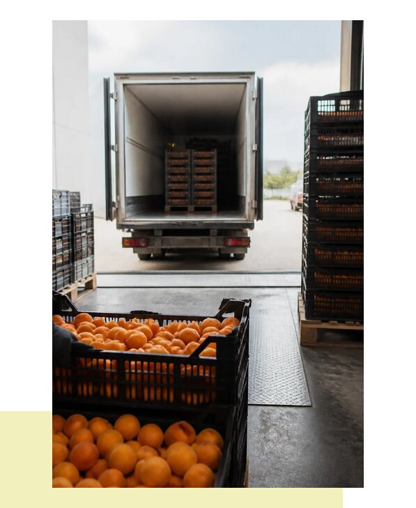 Перевозка абрикосов в Люберцы с соблюдением температурного режима